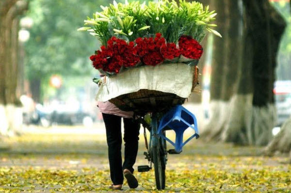 Thời điểm đẹp nhất để đi du lịch Hà Nội